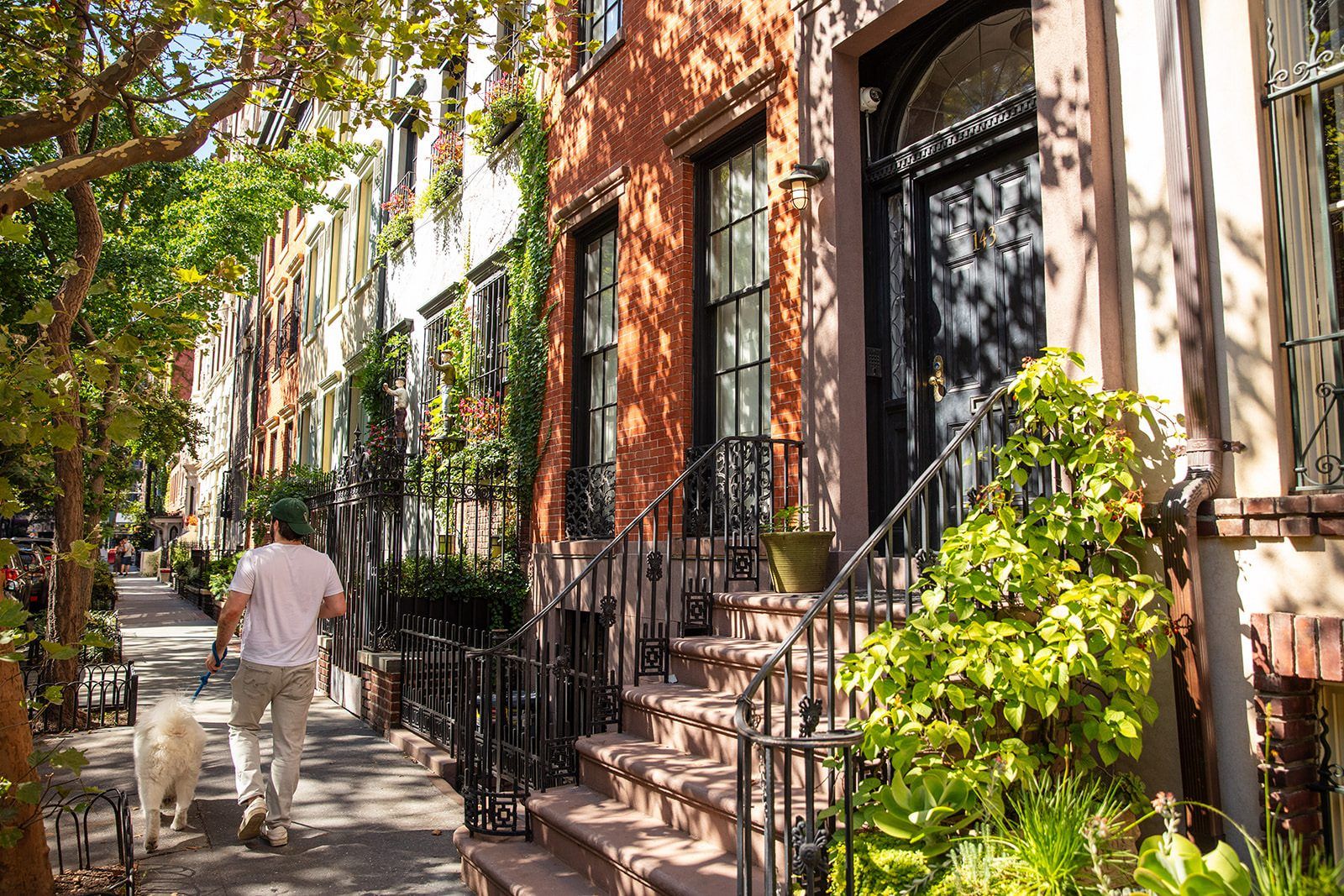 A neighbor walking the dog along a tree-lined Gramercy block