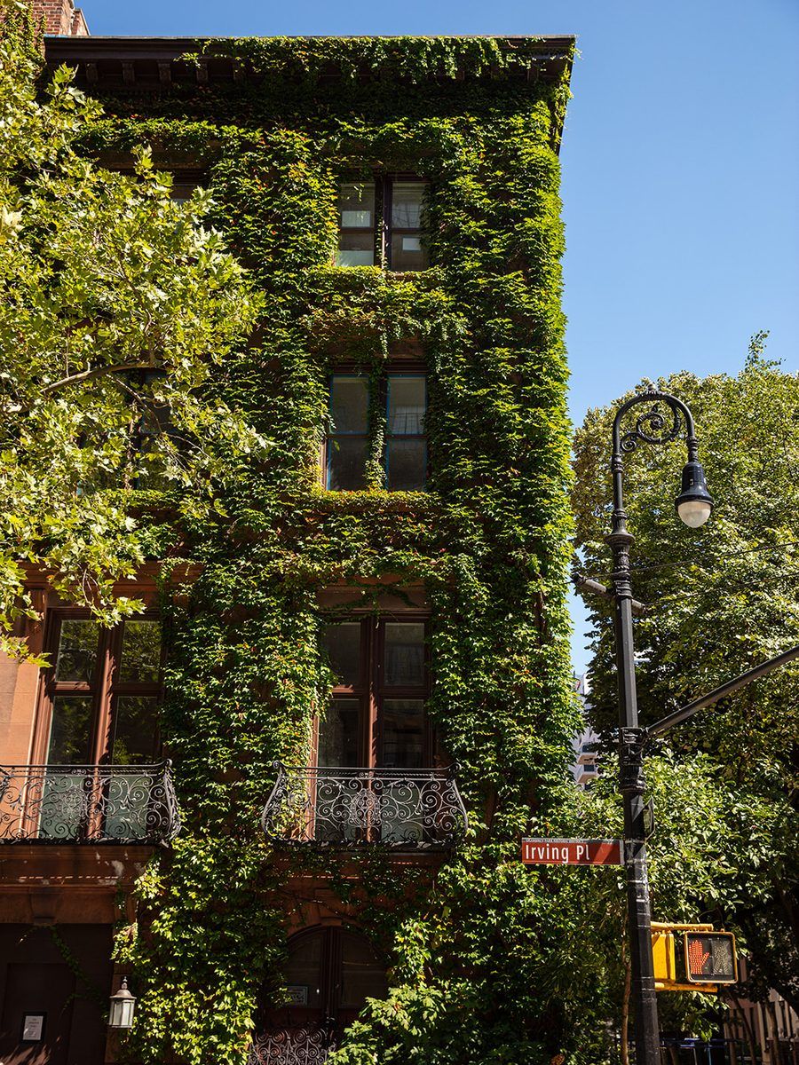 An ivy-clad building on Irving Place