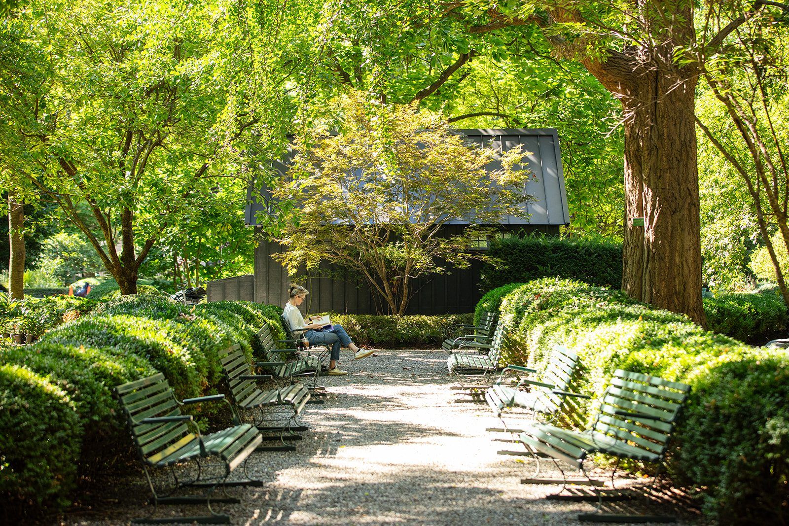 A quiet reading corner beneath the canopy of Gramercy Park