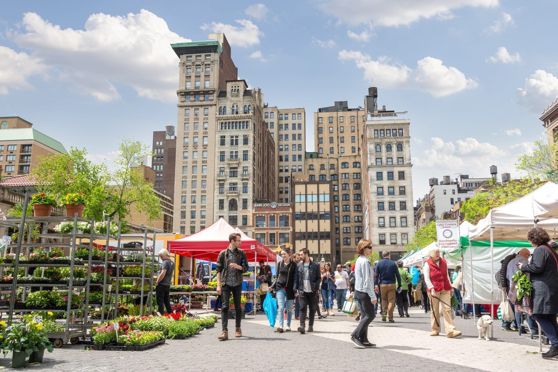 The Union Square Greenmarket beneath the surrounding architecture