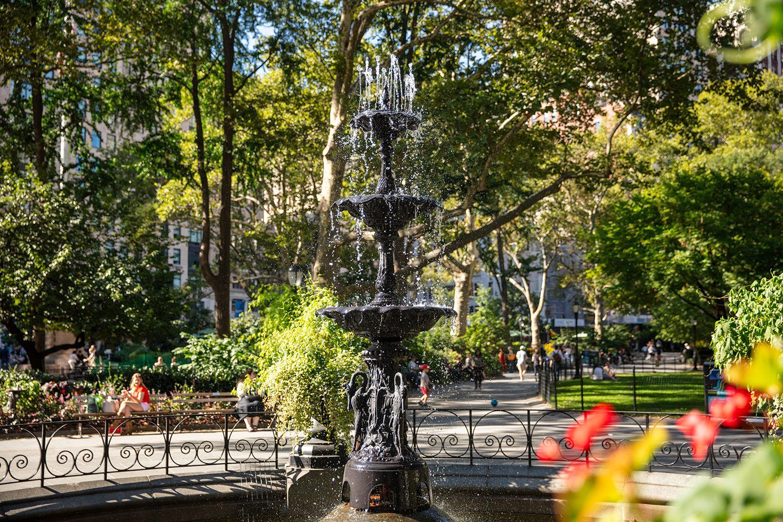 The Madison Square fountain backlit through late-summer flowers